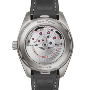 Seamaster Aqua Terra 150M Co Axial Master Chronometer GMT Worldtimer 43 mm - Image 2